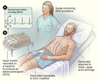 ecg testing