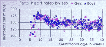 Fetal Heart Rate And Gestational Age Chart