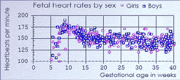 Baby Boy Heart Beat Rate Chart