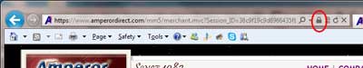 IE security icon